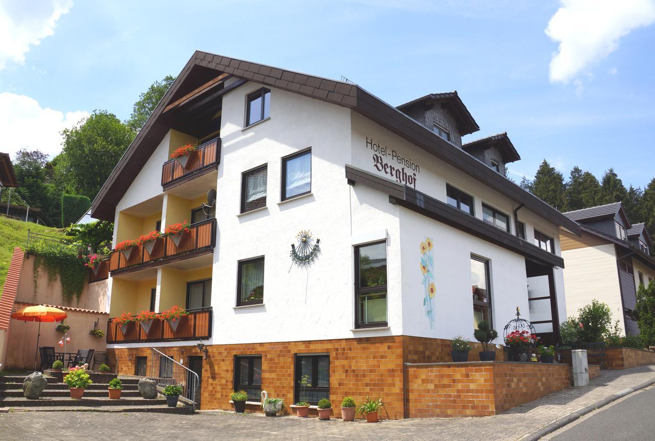 Hotel Garni Berghof Heigenbruecken Екстериор снимка
